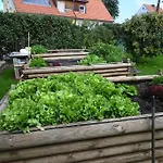 Dielangthalers Exklusive Oase Apartment *