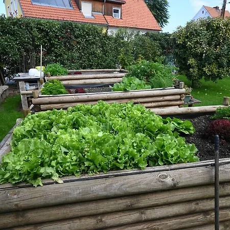 Dielangthalers Exklusive Oase 아파트 *