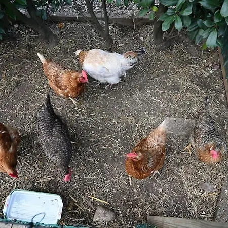 아파트 Dielangthalers Exklusive Oase 자이어스베르크