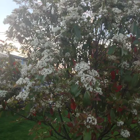 Apartment Dielangthalers Exklusive Oase