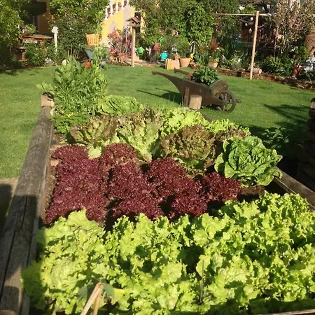 Dielangthalers Exklusive Oase Apartment