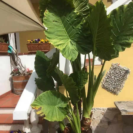 Appartement Dielangthalers Exklusive Oase *