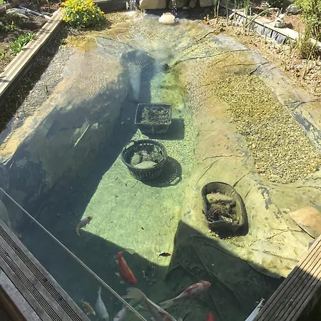 Dielangthalers Exklusive Oase *