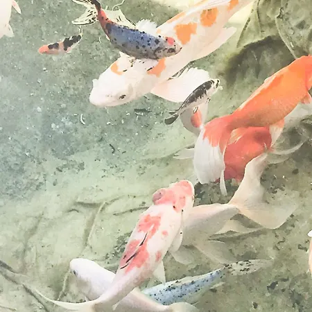 Dielangthalers Exklusive Oase Seiersberg