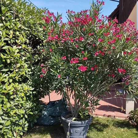 Dielangthalers Exklusive Oase 아파트