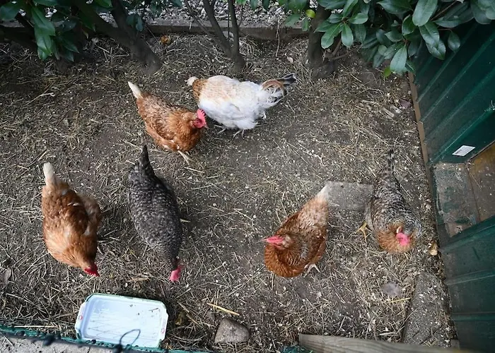 Appartement Dielangthalers Exklusive Oase Seiersberg