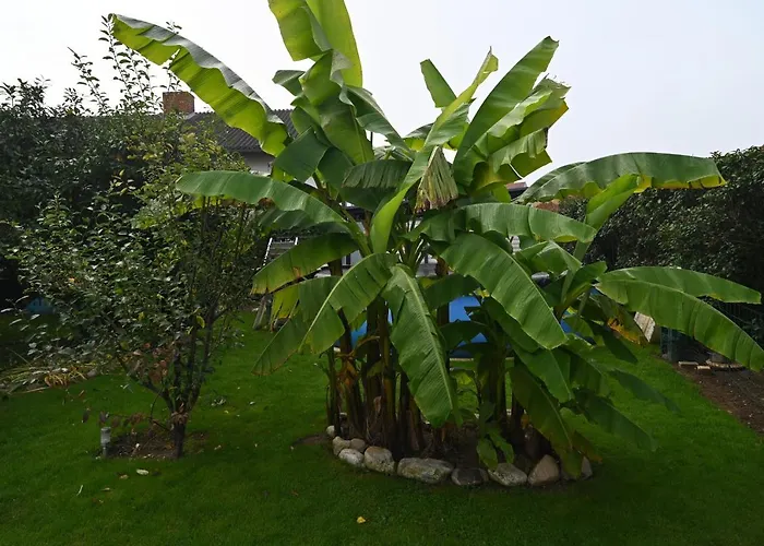 Dielangthalers Exklusive Oase