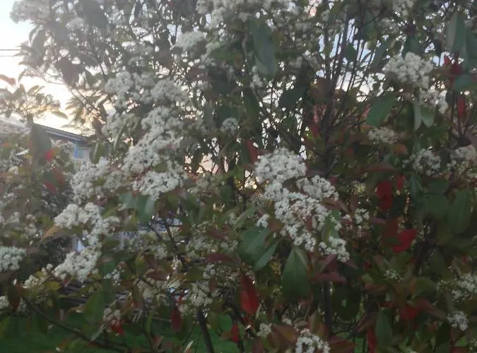 Appartement Dielangthalers Exklusive Oase