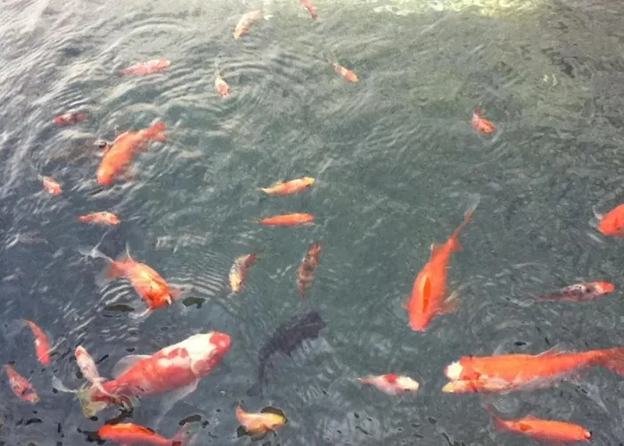 شقة Dielangthalers Exklusive Oase