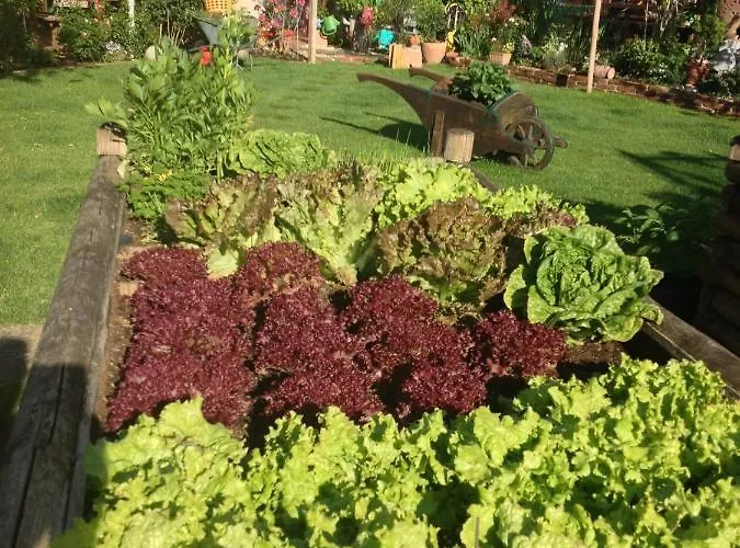 Dielangthalers Exklusive Oase شقة