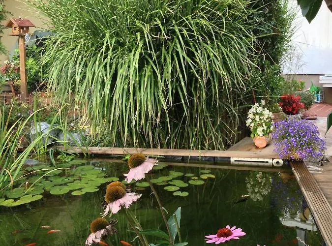 Dielangthalers Exklusive Oase