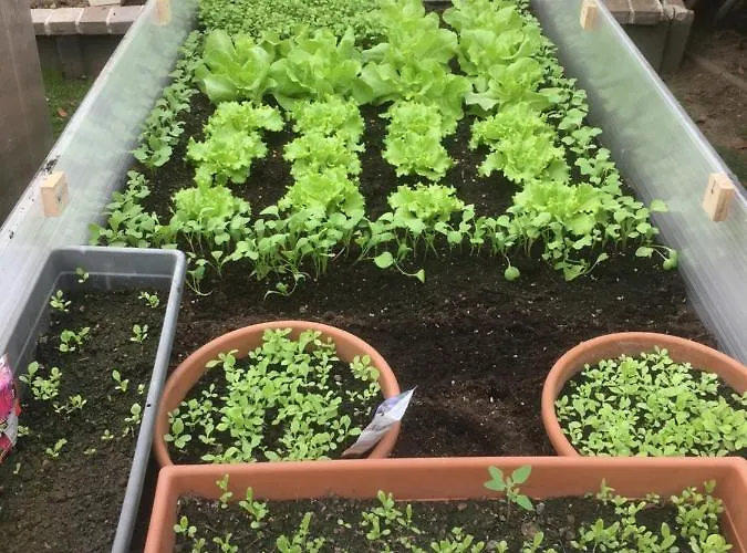 Dielangthalers Exklusive Oase *