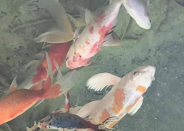 Dielangthalers Exklusive Oase شقة سيريسبيرغ