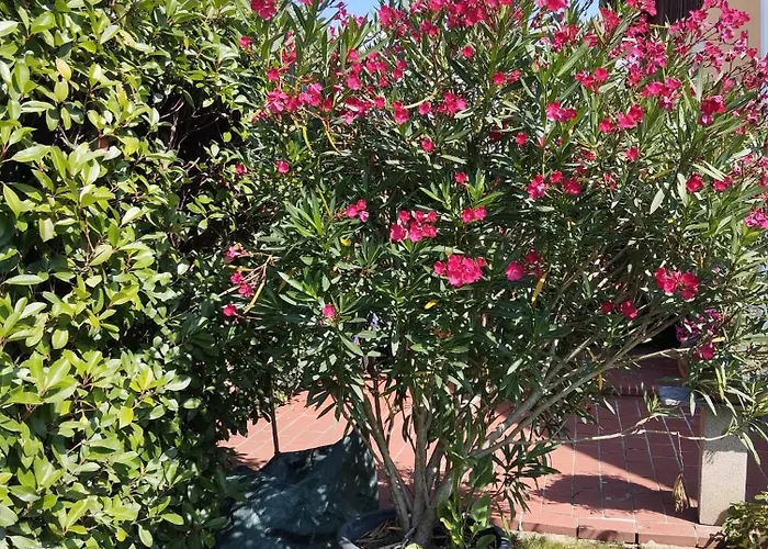 Dielangthalers Exklusive Oase شقة